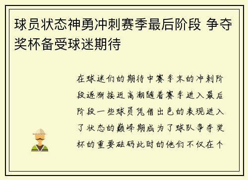 球员状态神勇冲刺赛季最后阶段 争夺奖杯备受球迷期待